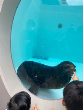 天王寺動物園に投稿された画像（2024/1/6）