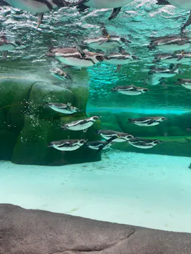 天王寺動物園に投稿された画像（2024/1/6）