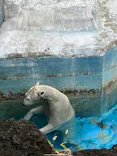 天王寺動物園に投稿された画像（2024/1/7）