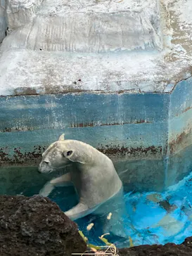 天王寺動物園に投稿された画像（2024/1/6）