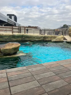 天王寺動物園に投稿された画像（2024/1/6）