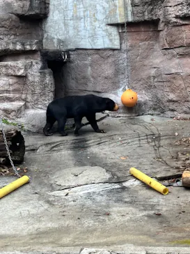 天王寺動物園に投稿された画像（2024/1/6）