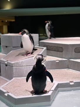 AOAO SAPPOROに投稿された画像（2024/1/6）