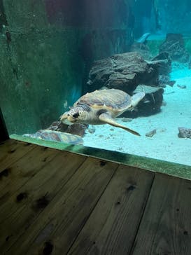 南知多ビーチランド＆南知多おもちゃ王国に投稿された画像（2024/1/6）