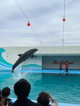 南知多ビーチランド＆南知多おもちゃ王国に投稿された画像（2024/1/6）