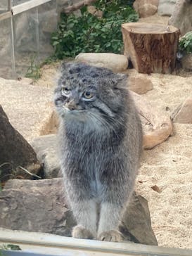 神戸どうぶつ王国に投稿された画像（2024/1/6）