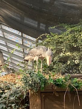 神戸どうぶつ王国に投稿された画像（2024/1/6）