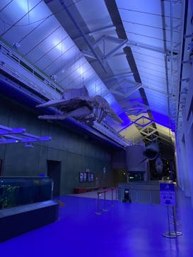 アクアワールド茨城県大洗水族館に投稿された画像（2024/1/7）