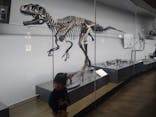 福井県立恐竜博物館に投稿された画像（2024/1/7）
