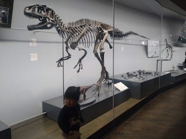 福井県立恐竜博物館に投稿された画像（2024/1/7）