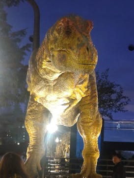 福井県立恐竜博物館に投稿された画像（2024/1/7）