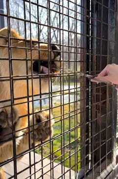 那須サファリパークに投稿された画像（2024/1/7）