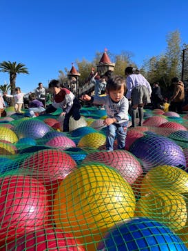 伊豆ぐらんぱる公園に投稿された画像（2024/1/7）