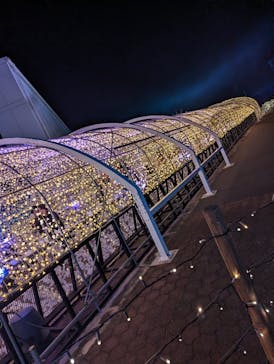 東京メガイルミに投稿された画像（2024/1/7）