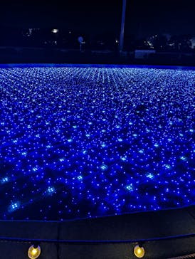 東京メガイルミに投稿された画像（2024/1/7）