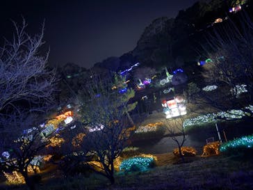 鹿児島イルミナージュに投稿された画像（2024/1/7）