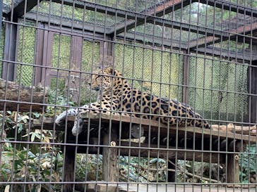 よこはま動物園ズーラシアに投稿された画像（2024/1/7）