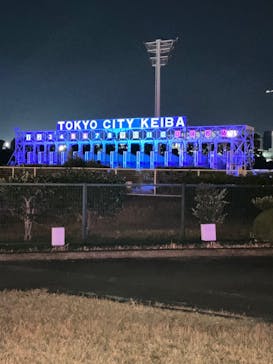 東京メガイルミに投稿された画像（2024/1/7）