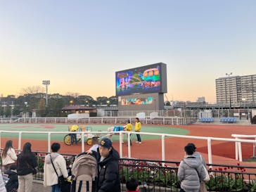 東京メガイルミに投稿された画像（2024/1/7）