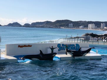 鴨川シーワールドに投稿された画像（2024/1/7）