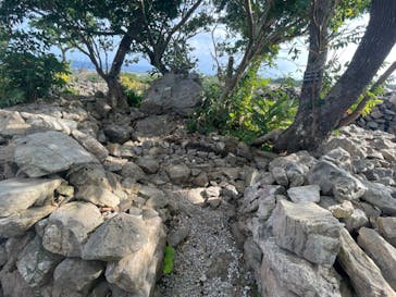 今帰仁城跡に投稿された画像（2024/1/7）