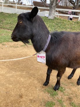 成田ゆめ牧場に投稿された画像（2024/1/7）