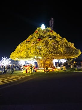 東京メガイルミに投稿された画像（2024/1/7）