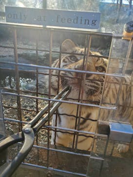 群馬サファリパークに投稿された画像（2024/1/7）