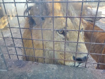 群馬サファリパークに投稿された画像（2024/1/7）