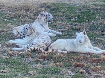 群馬サファリパークに投稿された画像（2024/1/7）