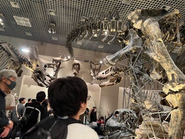 国立科学博物館に投稿された画像（2024/1/7）