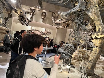 国立科学博物館に投稿された画像（2024/1/7）