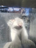 宇都宮動物園に投稿された画像（2024/1/7）