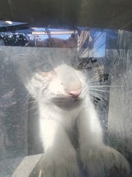 宇都宮動物園に投稿された画像（2024/1/7）