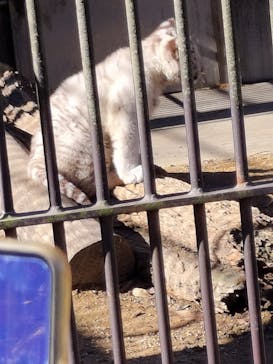 宇都宮動物園に投稿された画像（2024/1/7）