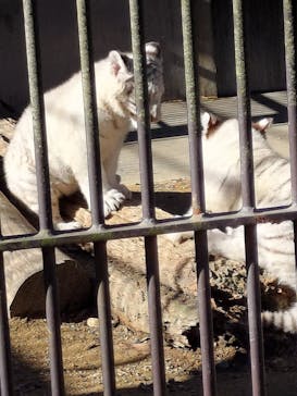 宇都宮動物園に投稿された画像（2024/1/7）