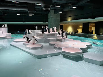 AOAO SAPPOROに投稿された画像（2024/1/7）