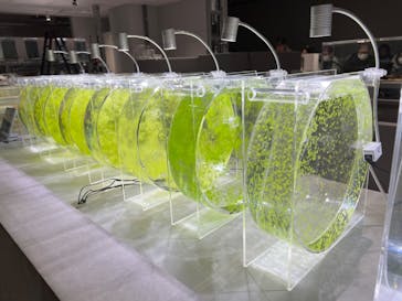 AOAO SAPPOROに投稿された画像（2024/1/7）