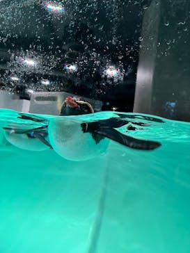 AOAO SAPPOROに投稿された画像（2024/1/7）