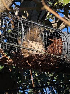 環境水族館アクアマリンふくしまに投稿された画像（2024/1/7）