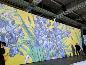 ゴッホ・アライブに投稿された画像（2024/1/7）