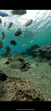 武藤潜水に投稿された画像（2024/1/7）