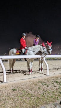 東京メガイルミに投稿された画像（2024/1/7）