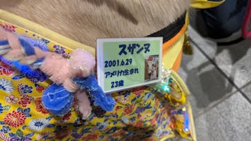 東京メガイルミに投稿された画像（2024/1/7）