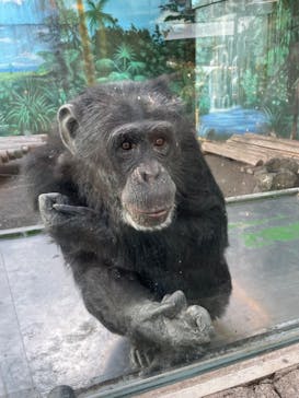 伊豆シャボテン動物公園に投稿された画像（2024/1/7）