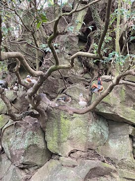 伊豆シャボテン動物公園に投稿された画像（2024/1/7）