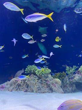 マリンワールド海の中道に投稿された画像（2024/1/7）