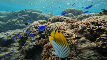 武藤潜水に投稿された画像（2024/1/7）