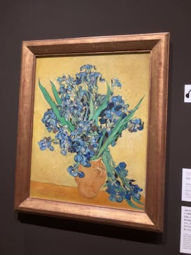 ゴッホと静物画　伝統から革新へ（SＯＭＰＯ美術館）に投稿された画像（2024/1/7）