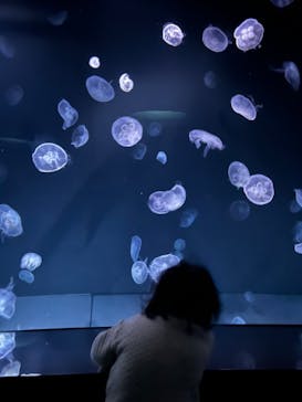 サンシャイン水族館に投稿された画像（2024/1/7）